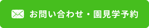 お問い合わせ・園見学予約